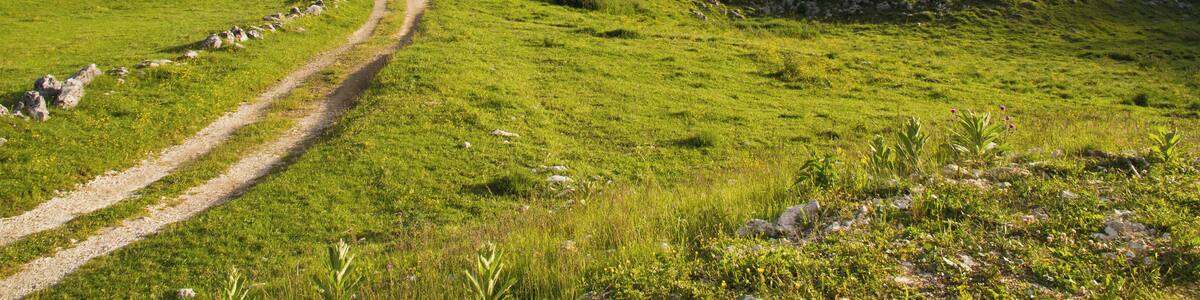 Altopiano dei Sette Comuni (Q49962786)