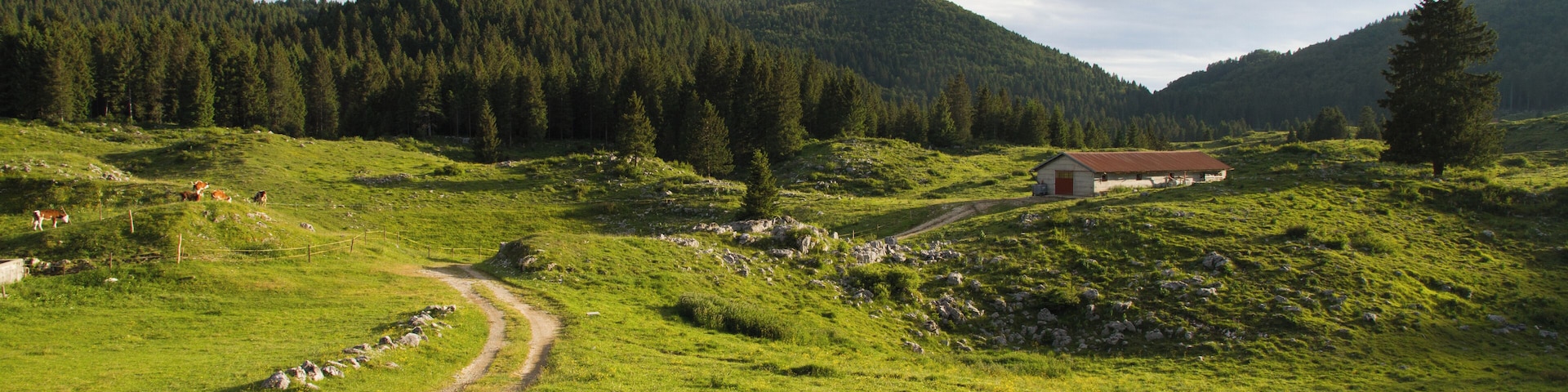 Altopiano dei Sette Comuni (Q49962786)