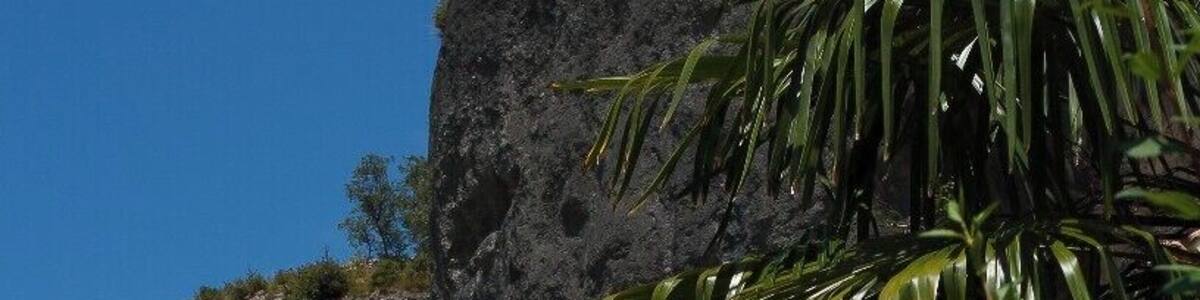 people have been living in this area for about 200,000 years. The modern town is overhung by the cliffs which make it spectacular even to see. If your interested in all things prehistoric this is the area for you. Apart from the excellent museum,there are hikes, cycle tours, various caves and canoe trips on the river.
http://leseyzies-tourist.info/