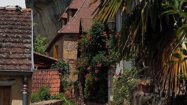 Een smalle straat met keien, begrensd door stenen huizen en weelderige begroeiing, met een opvallende rotsformatie op de achtergrond.