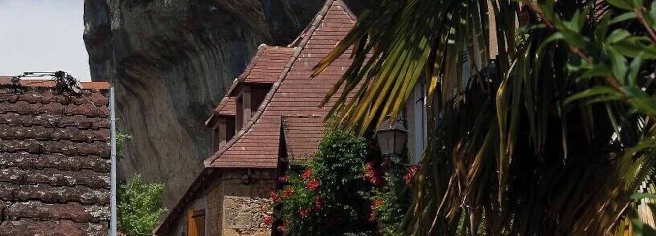 people have been living in this area for about 200,000 years. The modern town is overhung by the cliffs which make it spectacular even to see. If your interested in all things prehistoric this is the area for you. Apart from the excellent museum,there are hikes, cycle tours, various caves and canoe trips on the river.
http://leseyzies-tourist.info/