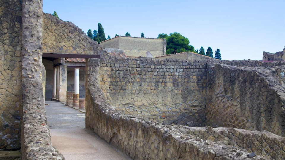 An ancient stone pathway leading through a ruin with columns and a partially intact building.
