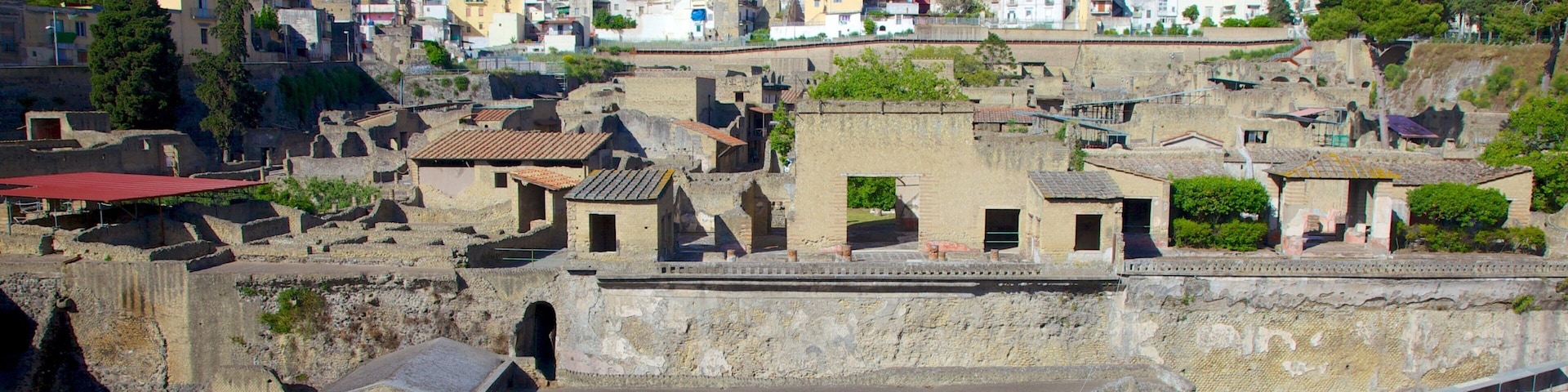 埃尔克拉诺