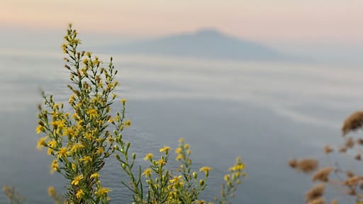 a view of Mt Vesuvius at sunset from Sorrento