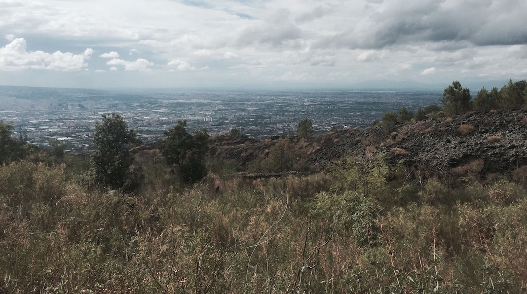 Vesuvius views 👀