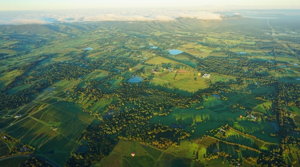 Hot air ballooning over the Hunter Valley in Australia certainly gives a lush #Green view. We escaped from the city for one night to experienced something I've always wanted to do. Floating over the manicured vineyards, kangaroos and green fields was a peaceful and exciting escape. And to top it all off we ended with a champagne breakfast #australia #flying #green