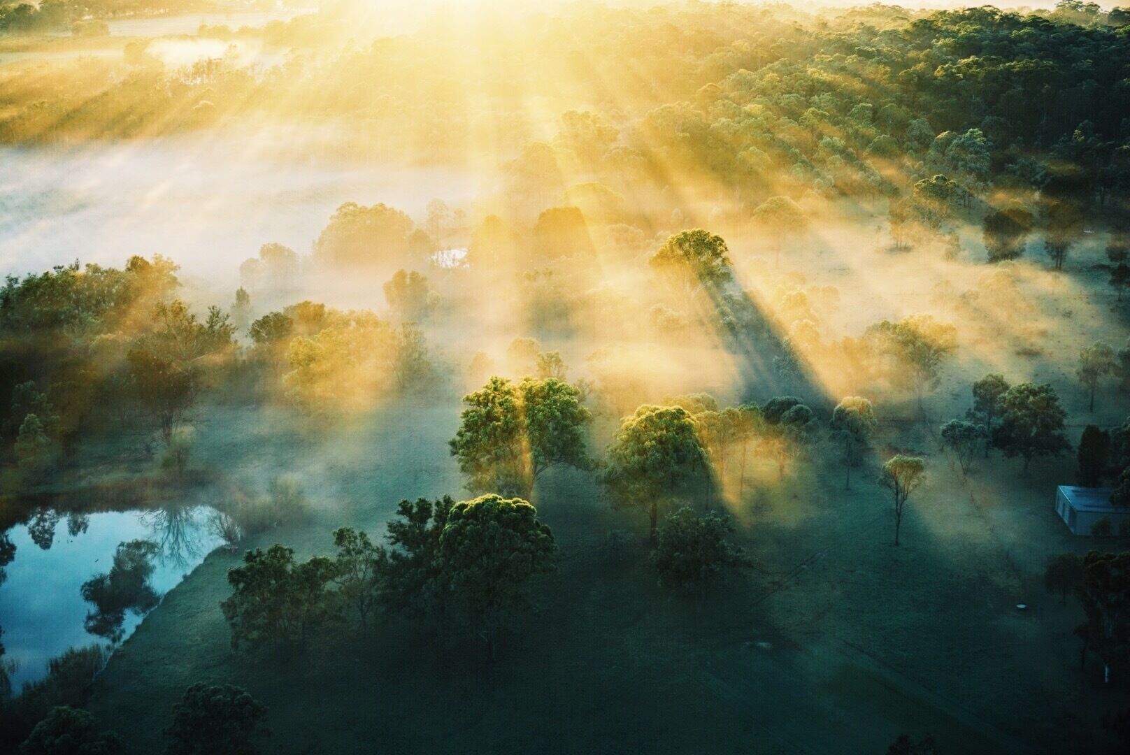 Sunrise over a slightly foggy Hunter Valley, from a hot air balloon! The ride was gentle and we felt very safe. Highly recommend for a one night getaway from Sydney - expensive but worthwhile and with a Champagne breakfast included! I booked through Beyond Ballooning - they give you a full refund if they cancel due to weather which I think is necessary if you don't live in the area and might not have time to reschedule #hotairballooning #adventure #view #australia