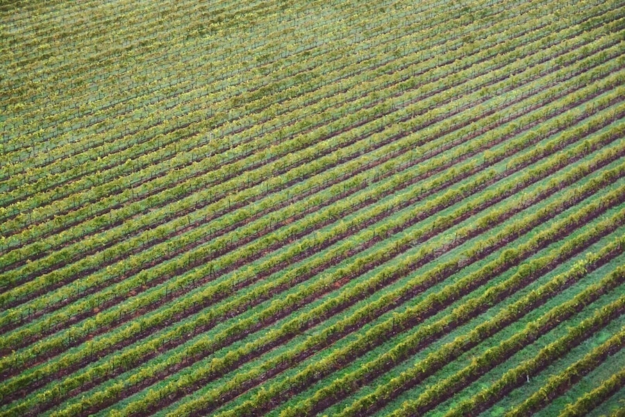 There's not much that is more satisfying that flying over perfectly groomed vineyards. This was taken from a hot air balloon in the Hunter Valley. For those Sydney-siders out there, the Hunter Valley is perfect for a quick spontaneous getaway, only 2.5 hours drive from the city. Could you ask for more #Green. Not only are the vineyards themselves a beautiful lush green, many of the vineyards are sustainably run. #australia #huntervalley #patterns