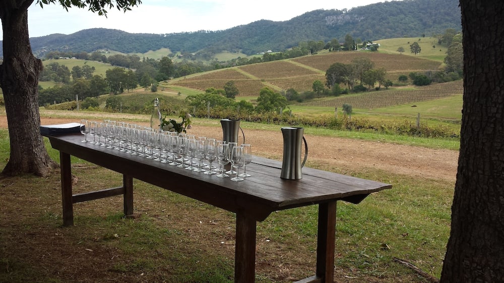 A wooden table with wine glasses and a pitcher in a vineyard setting.