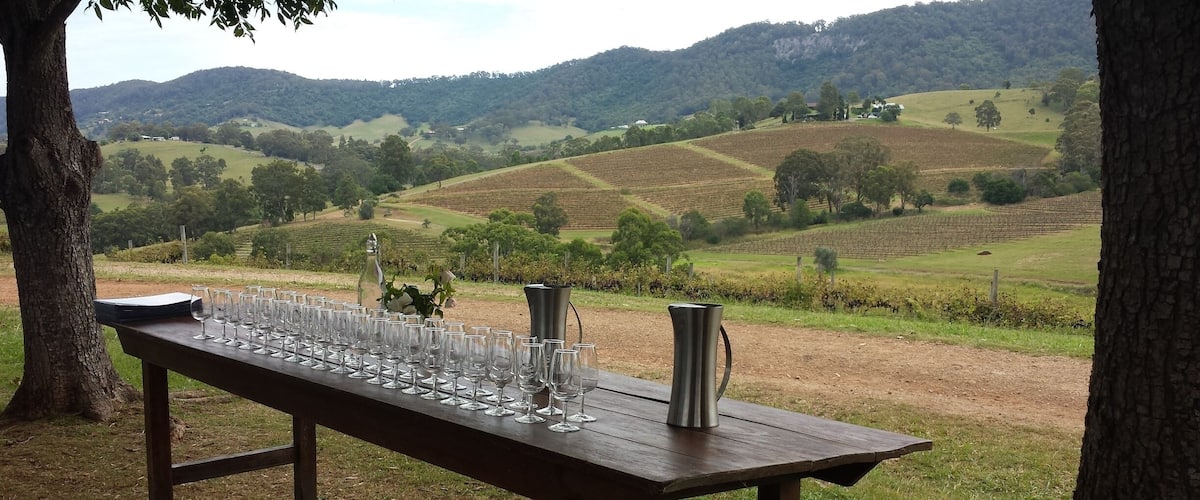 A wooden table with wine glasses and a pitcher in a vineyard setting.