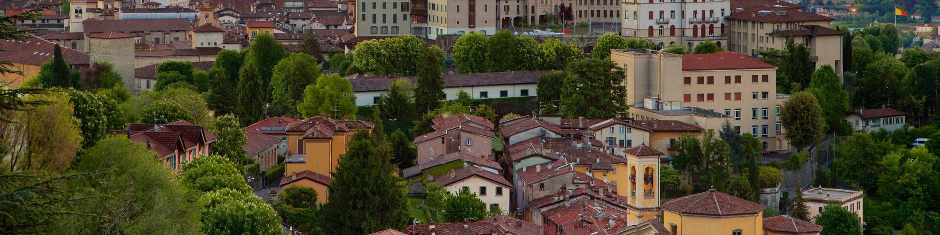 A historic cityscape with prominent towers and domes, surrounded by lush greenery and a distant mountain range.