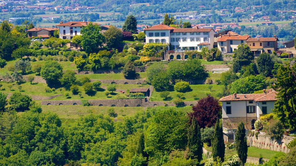 A hillside village with terraced gardens, traditional buildings, and a stone wall.