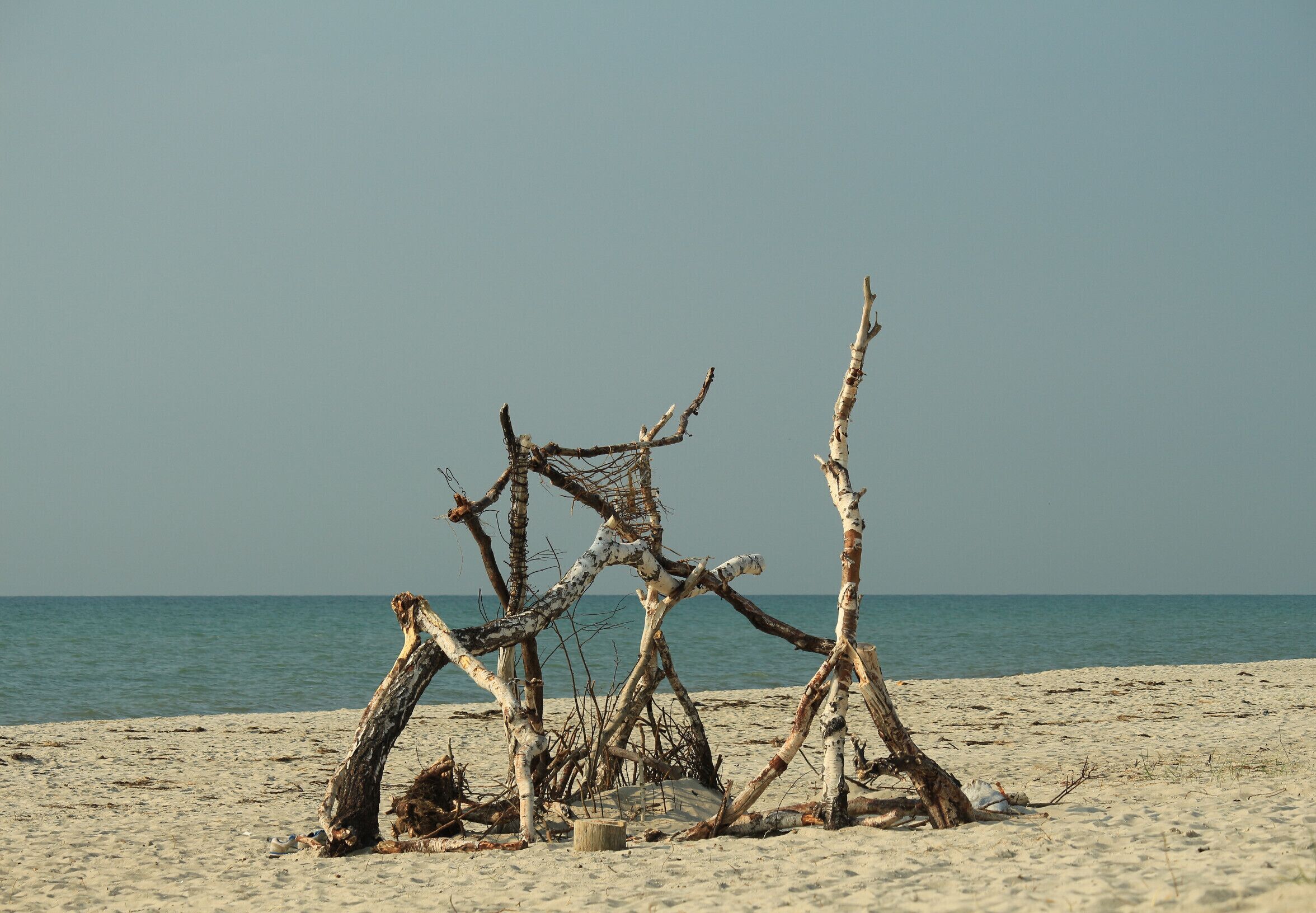 At the Darss (the middle part of the peninsula of Fischland-Darß-Zingst) the Darss Forest ends directly at this beautiful shoreline. 