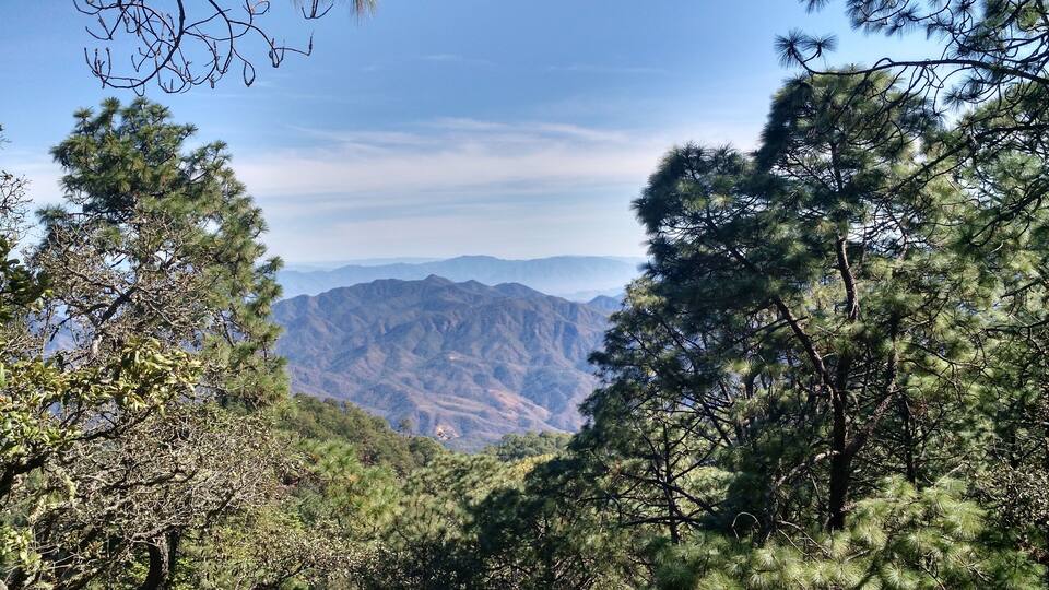 A mountainous landscape with dense pine forests and a clear sky.