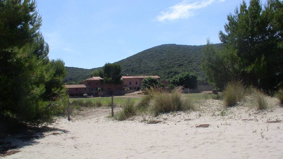 A sandy beach with a building and trees in the background.