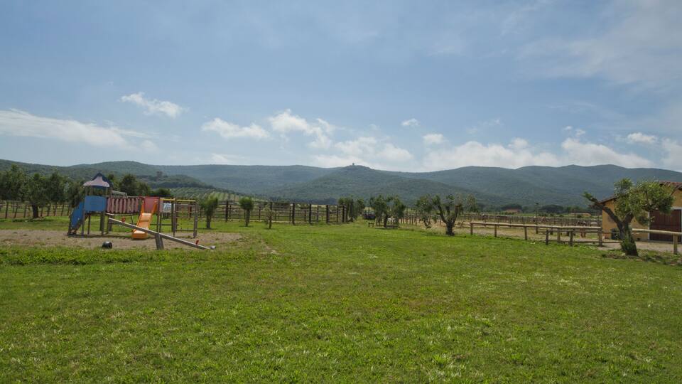 A grassy field with a playground, a wooden fence, and distant mountains under a clear sky.