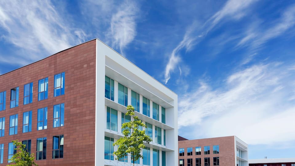 A modern building with large windows and a tree in front.