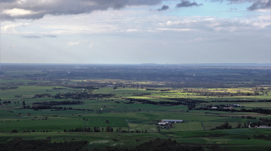 Campidano di Oristano