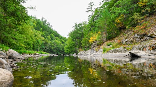 View of the West River in Jamaica State Park in Vermont