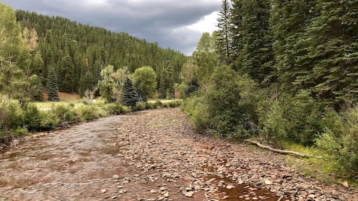 The Dolores River as it passes through the âblink and you will miss itâ town of Rico.