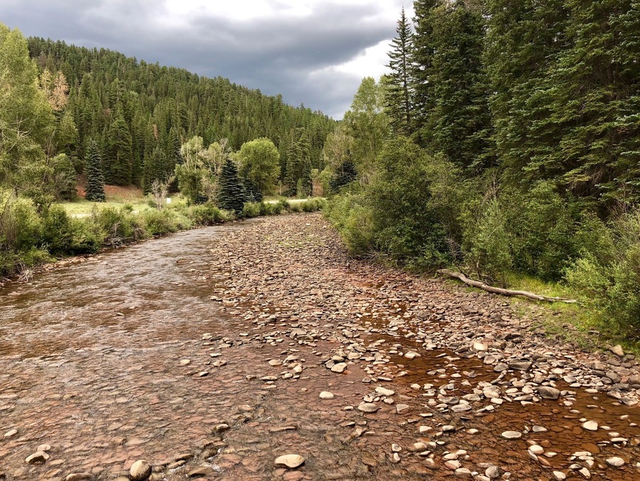 The Dolores River as it passes through the ‘blink and you will miss it’ town of Rico.