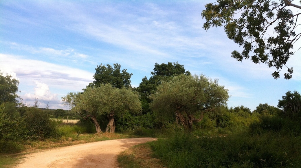 A piece of intact nature!