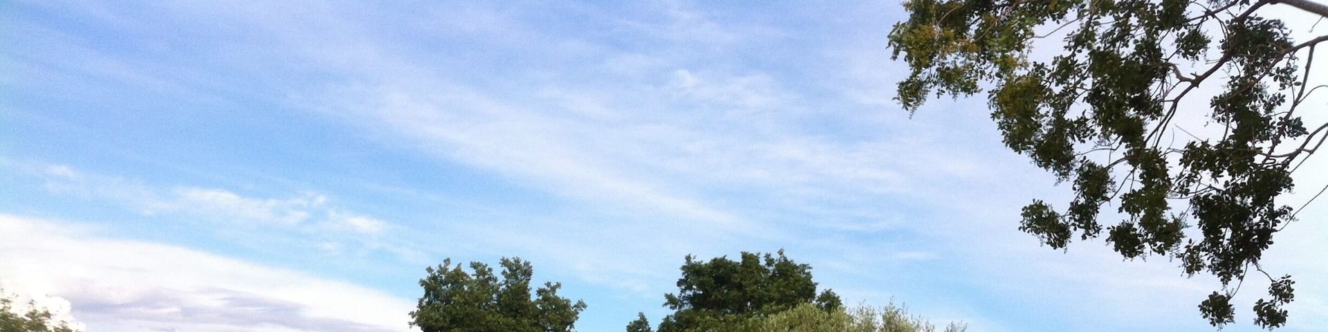 A piece of intact nature!