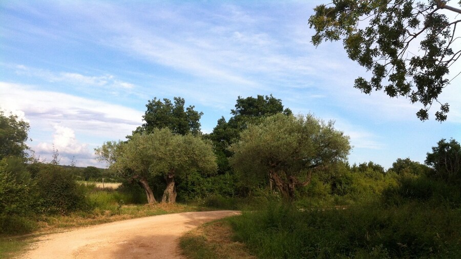 A piece of intact nature!