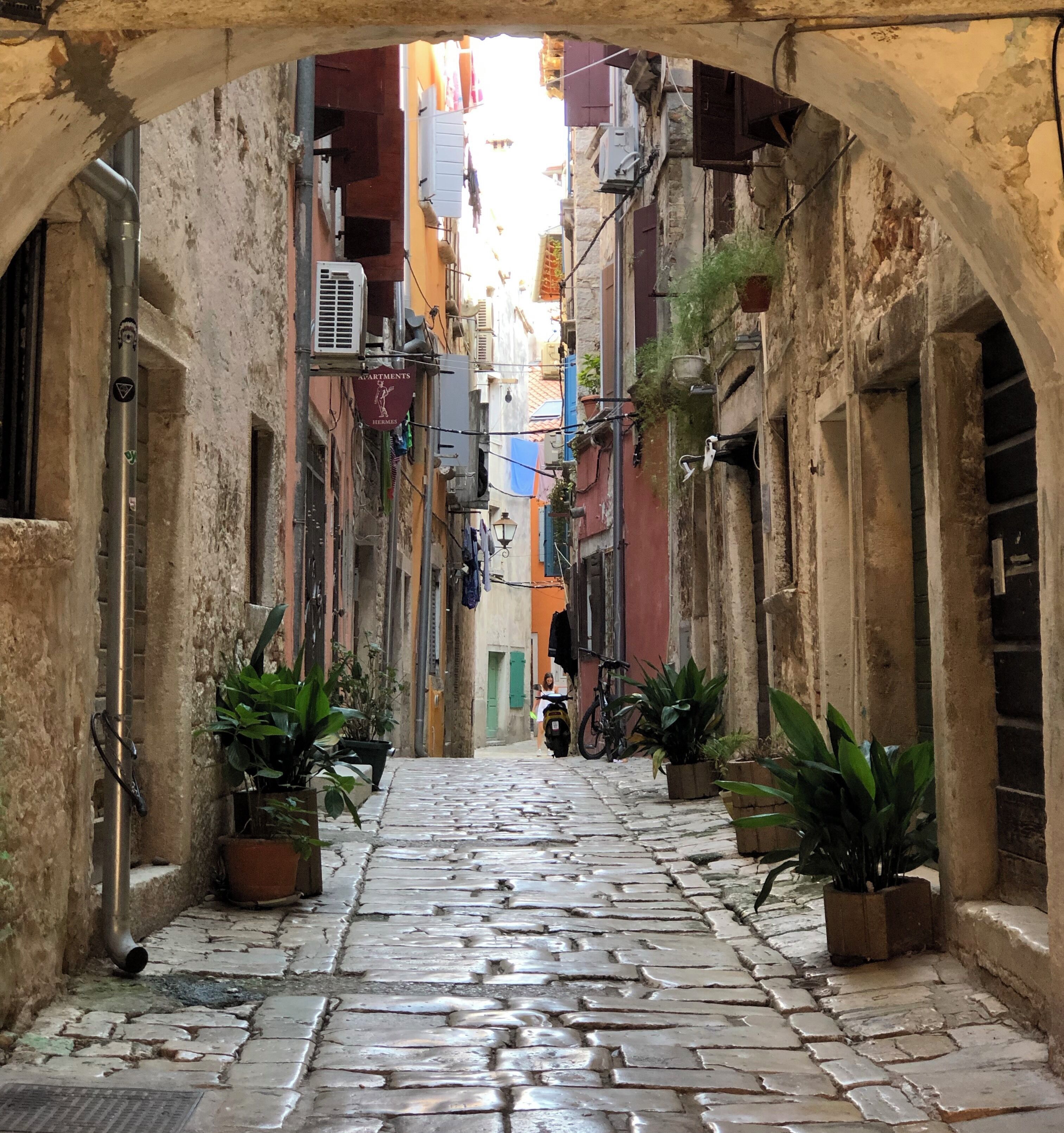 Early morning walks around the narrow alleyways in Rovinj. #trovember