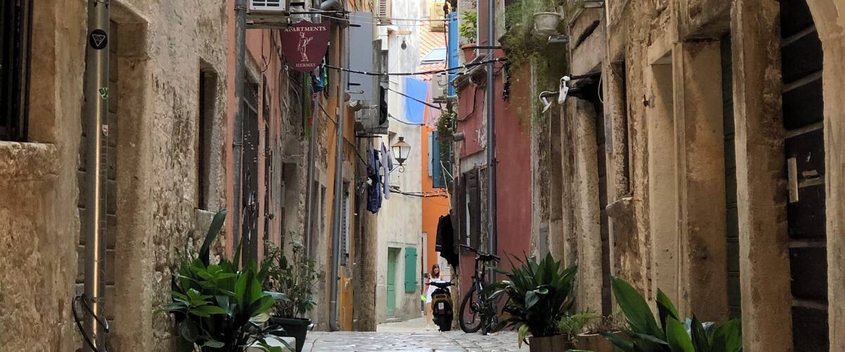Early morning walks around the narrow alleyways in Rovinj. #trovember