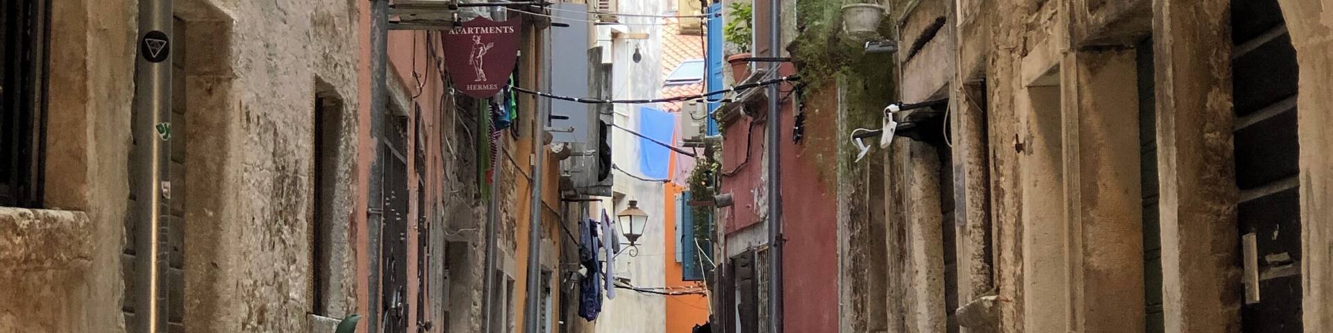 Early morning walks around the narrow alleyways in Rovinj. #trovember