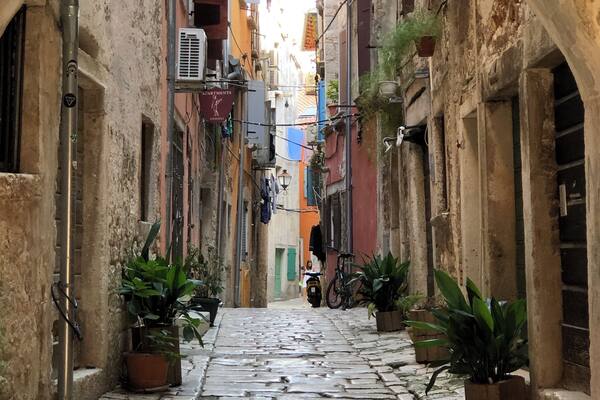 Early morning walks around the narrow alleyways in Rovinj. #trovember
