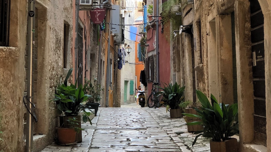Early morning walks around the narrow alleyways in Rovinj. #trovember