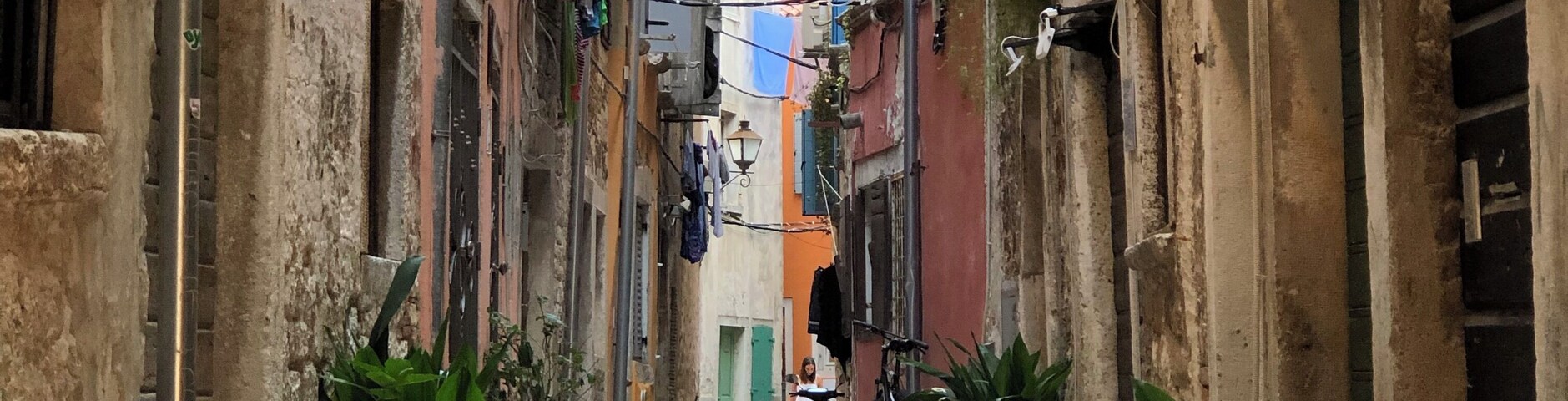 Early morning walks around the narrow alleyways in Rovinj. #trovember