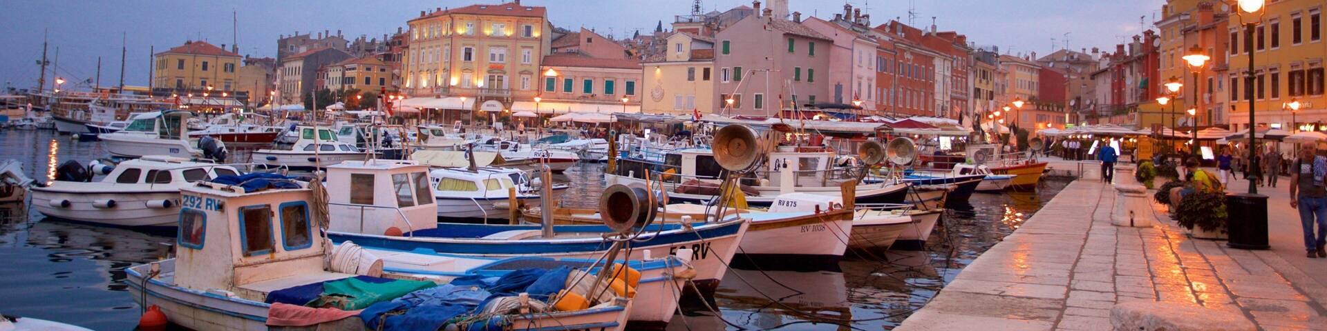Rovinj showing a city and a marina