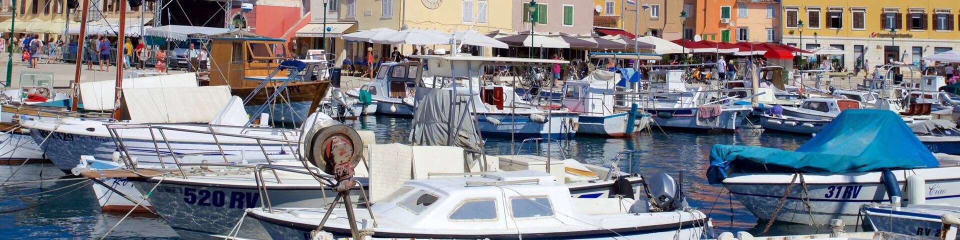 Rovinj showing a marina