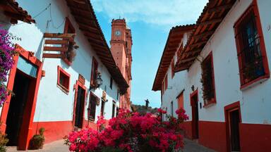 Una calle estrecha bordeada por edificios blancos con detalles rojos, una imponente torre del reloj y vibrante buganvilla rosa.