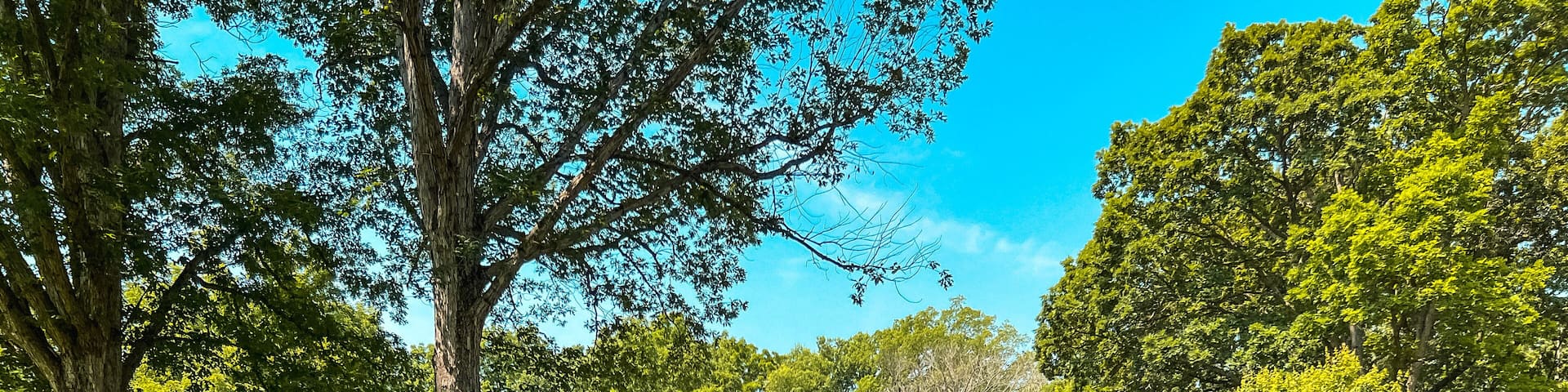 Split Rail Fence and Log Cabin Style Homes at Lincoln's New Salem State Historic Site. A reconstruction of the former village where Abraham Lincoln lived 1831 to 1837. Public park on public land.