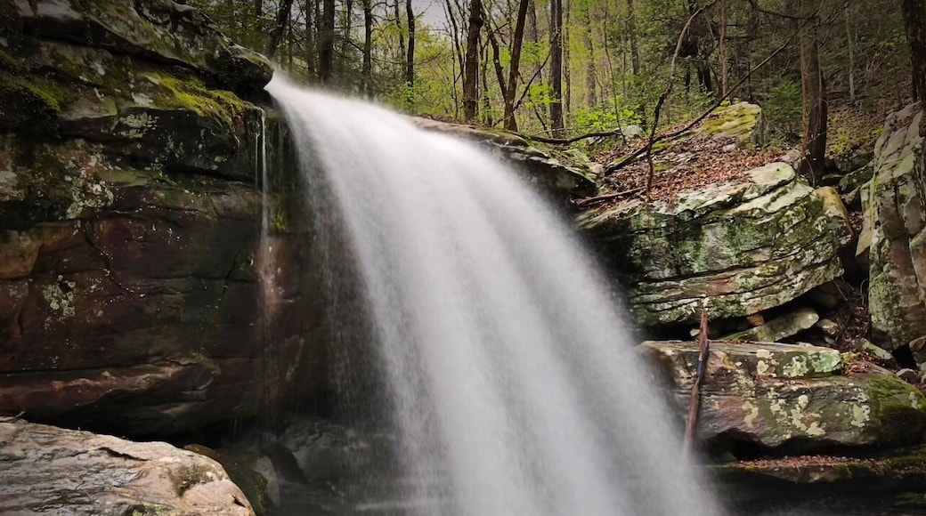 Rainy days in the Cumberland Mountains creates cool little waterfalls in the Tennessee Valley below.