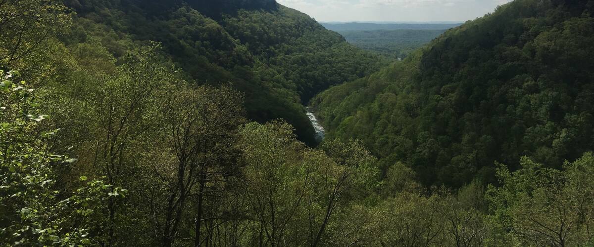 A valley with dense green forests and a river flowing through it.