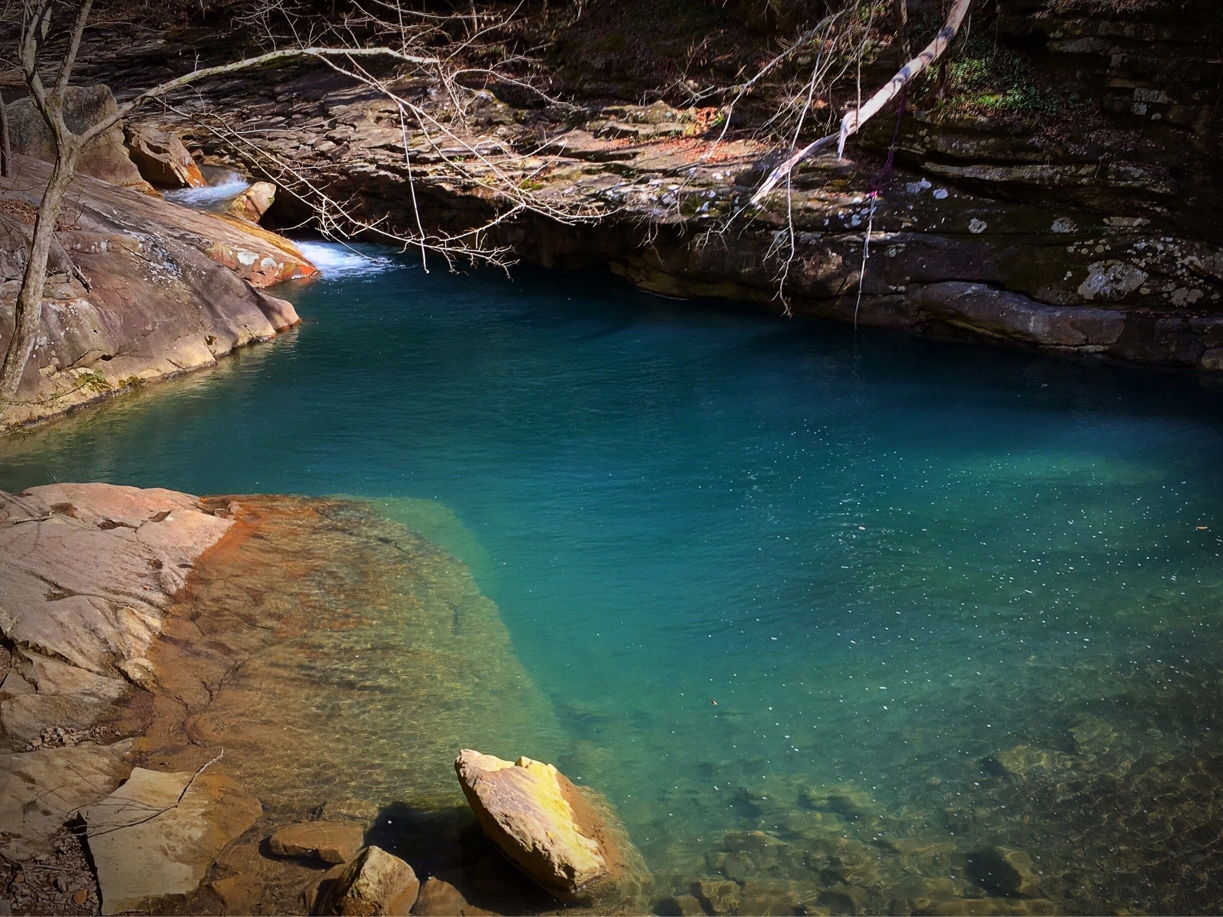 One of hundreds of super secret swim hole in Big Soddy Gulf. Springtime is near! 
