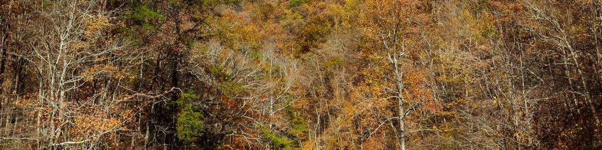 river autumn in the mountains