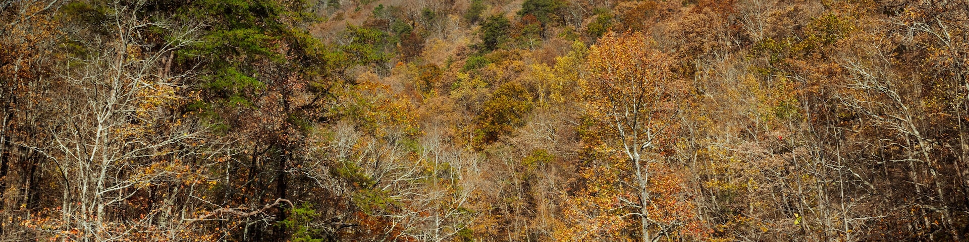 river autumn in the mountains