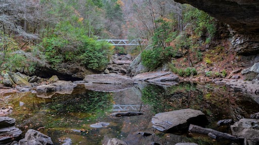 A metal bridge reflected in North Chickamauga Creek Gorge is part of the Cumberland Trail in Tennessee. View from an alcove at the creek crossing.