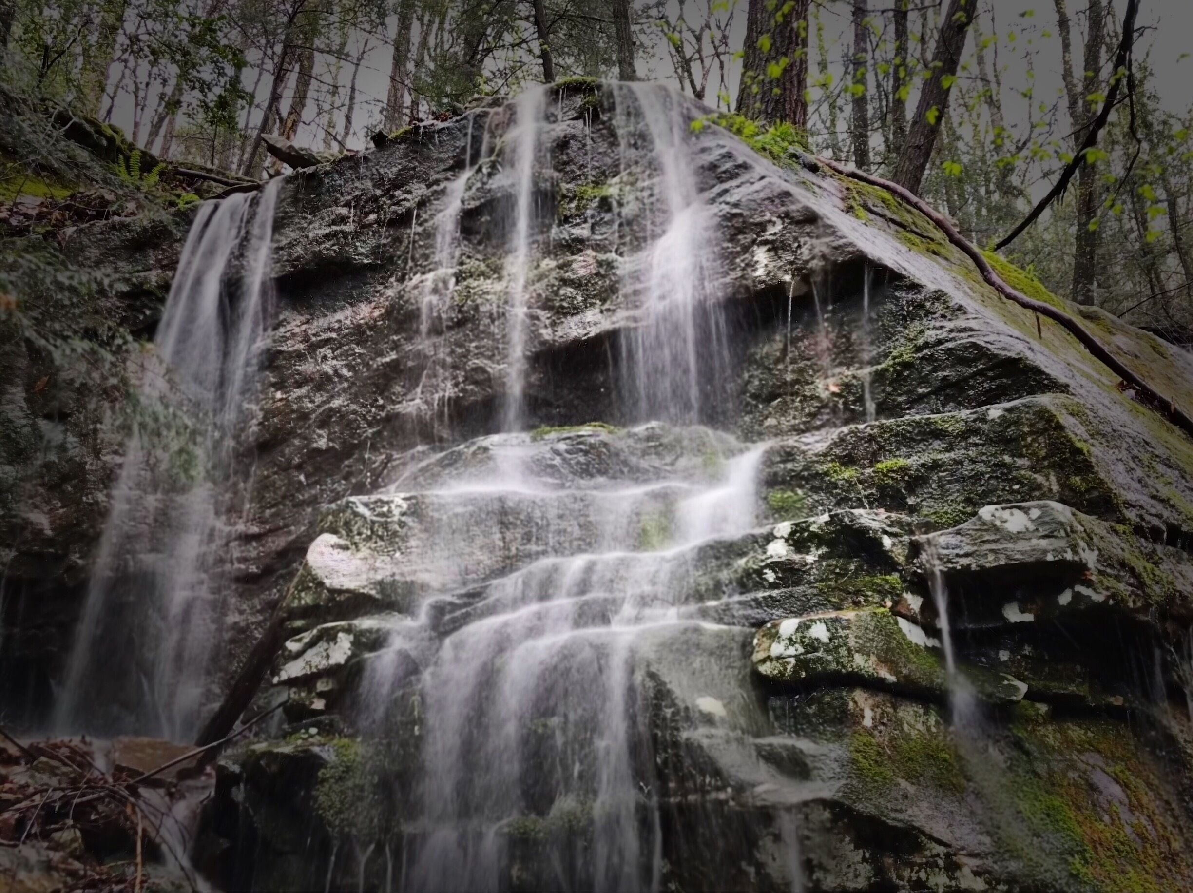 Hiking the Possum Creek Gorge on the Cumberland Trail.  The Cumberland Plateau provides thousands of watershed waterfalls during the rainy days of spring.  Well worth the effort getting into and back out of the gorge. 
