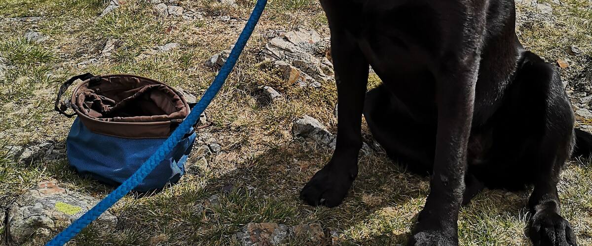 Good walk up from Ennerdale Water. Hugo did his third Wainwright. :)
