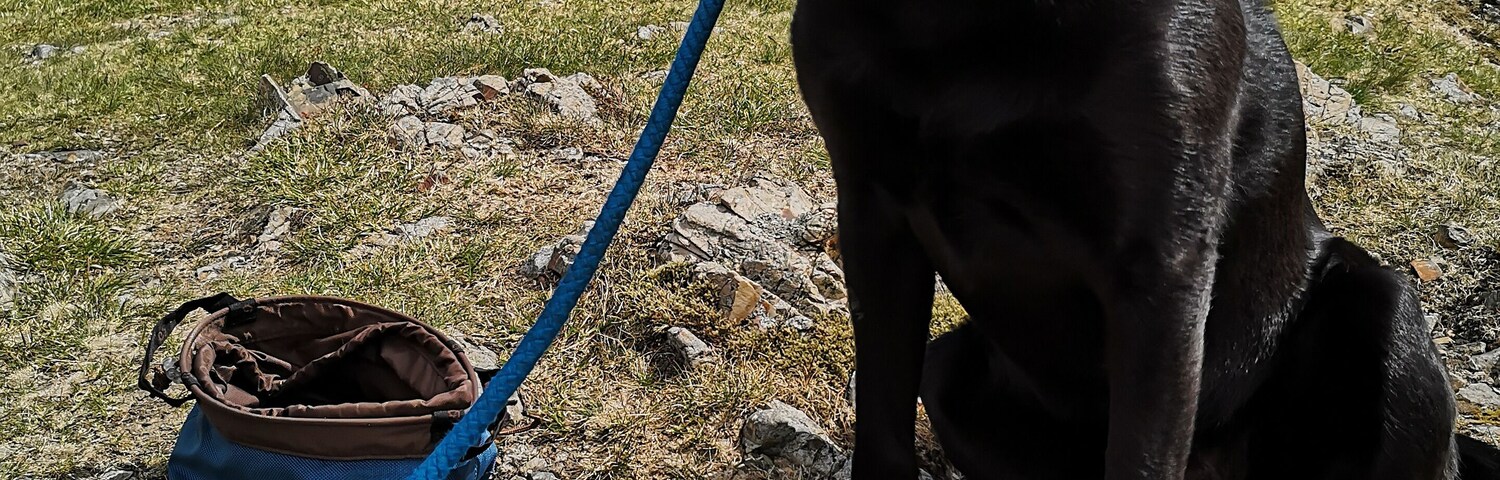 Good walk up from Ennerdale Water. Hugo did his third Wainwright. :)
