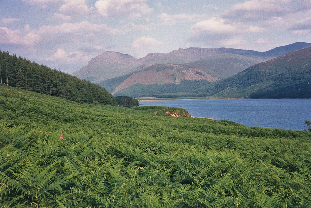 A lake surrounded by mountains and dense green forest.