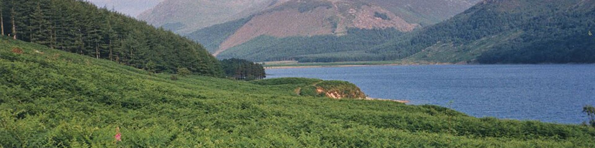 Un lago rodeado de montañas y un bosque verde denso.