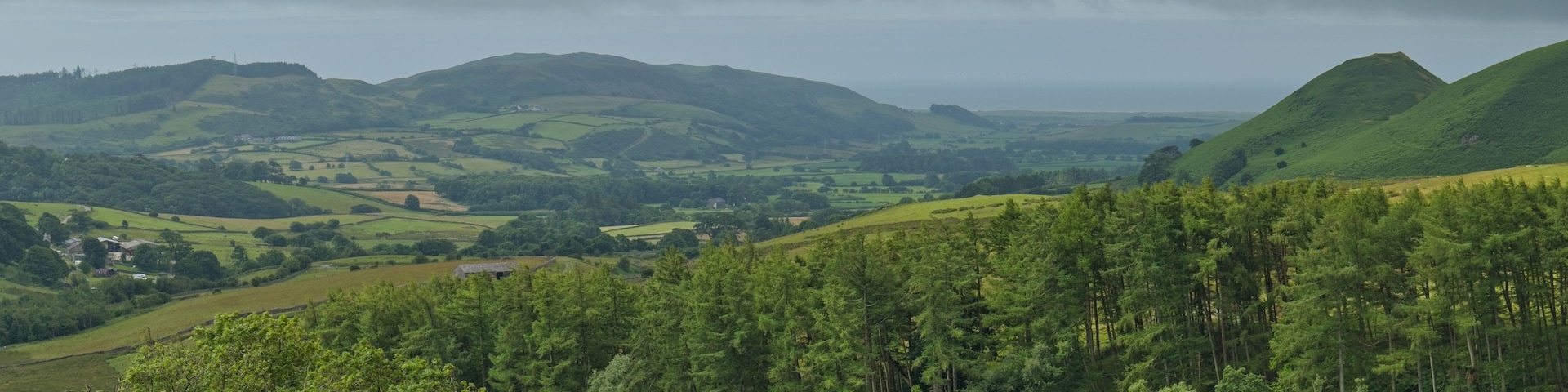 A wide landscape view of green, rolling hills and a valley under a cloudy sky. A forest of trees stretches across the middle ground in Cumbria - North West - UK